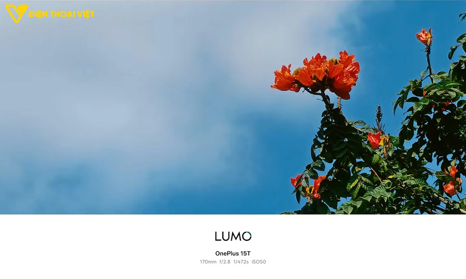 Ảnh chụp 170mm trên OnePlus 15T