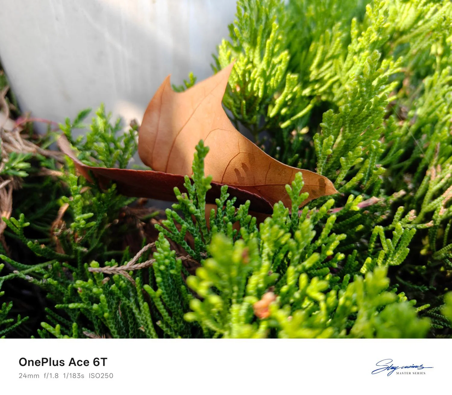 Ảnh chụp từ camera sau