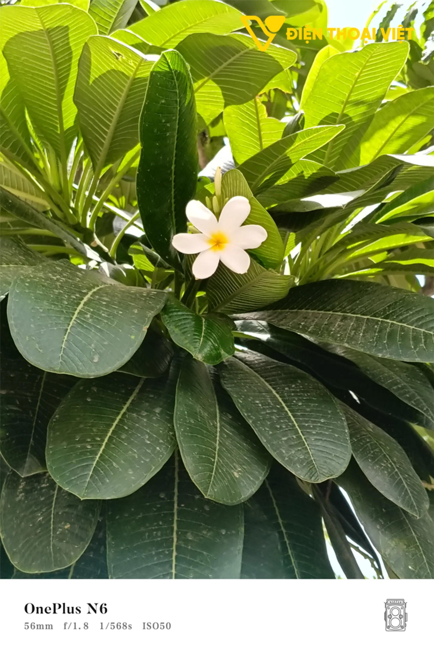 Ảnh chụp cận cảnh