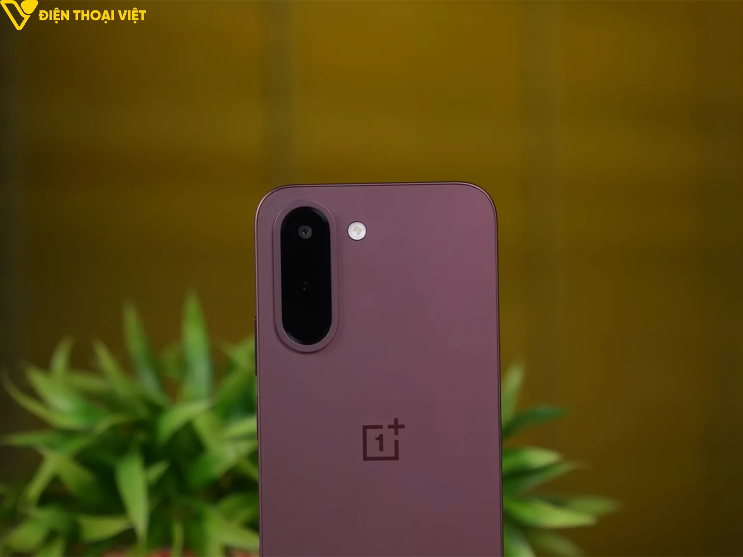 danh-gia-oneplus-n6x-camera-sau