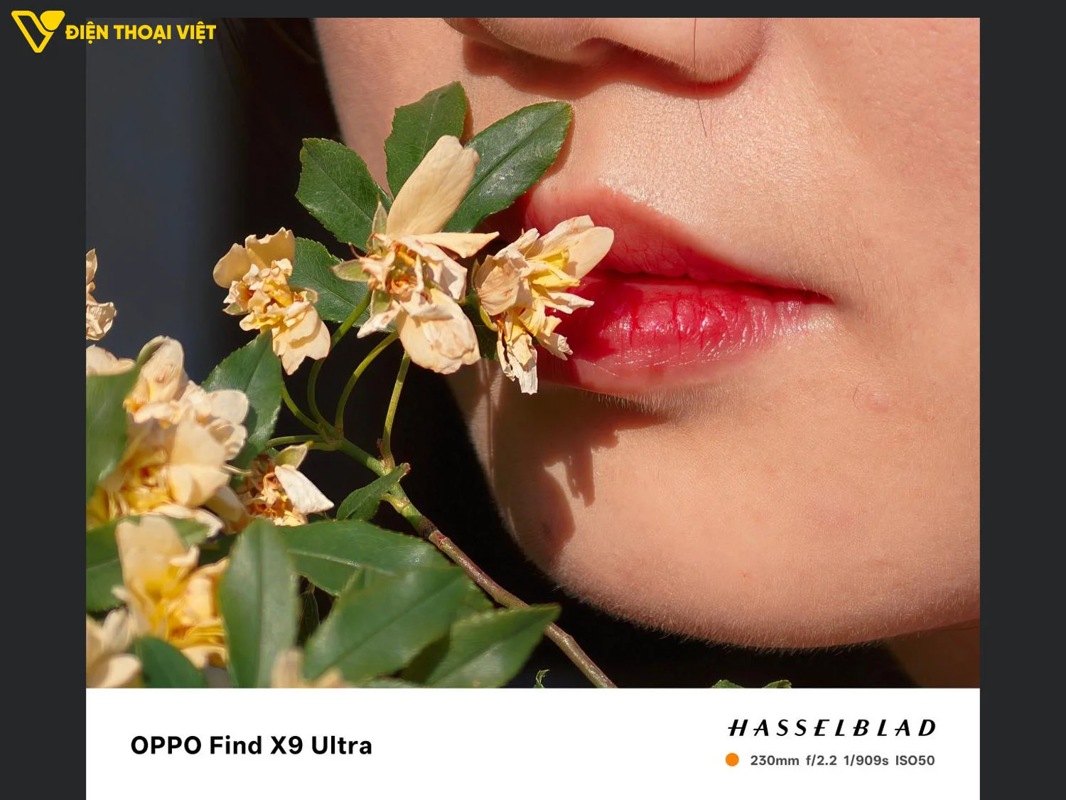 Ảnh chụp zoom cận cảnh