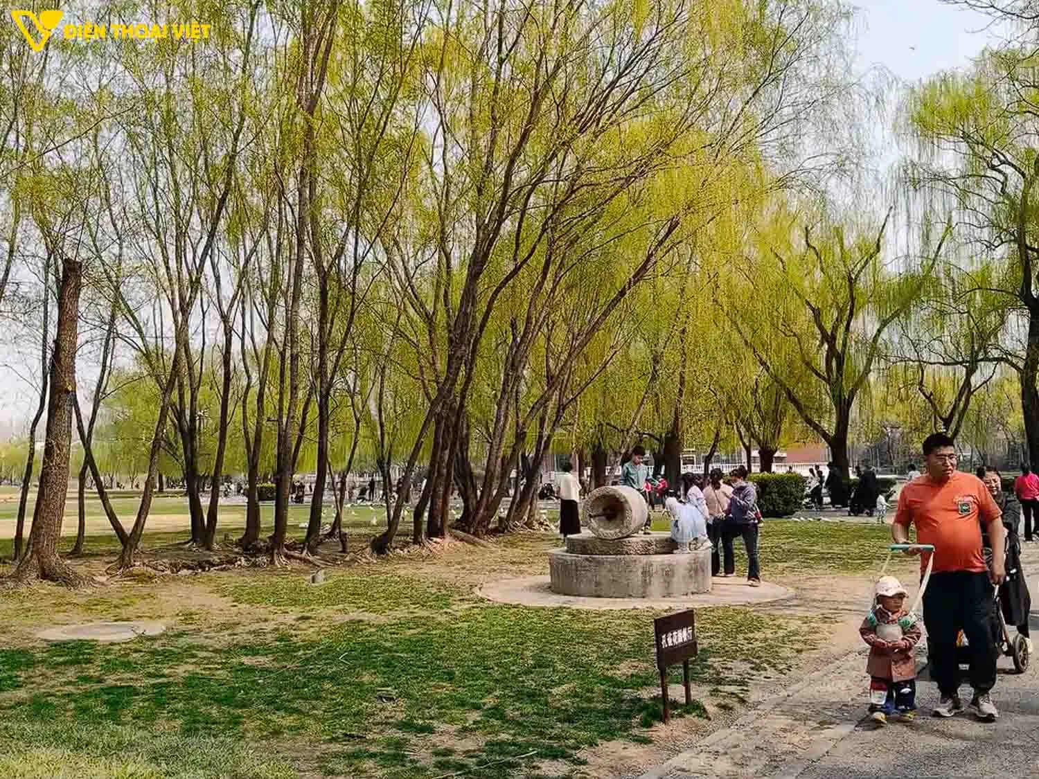 Ảnh chụp camera chính tiêu cự 24mm