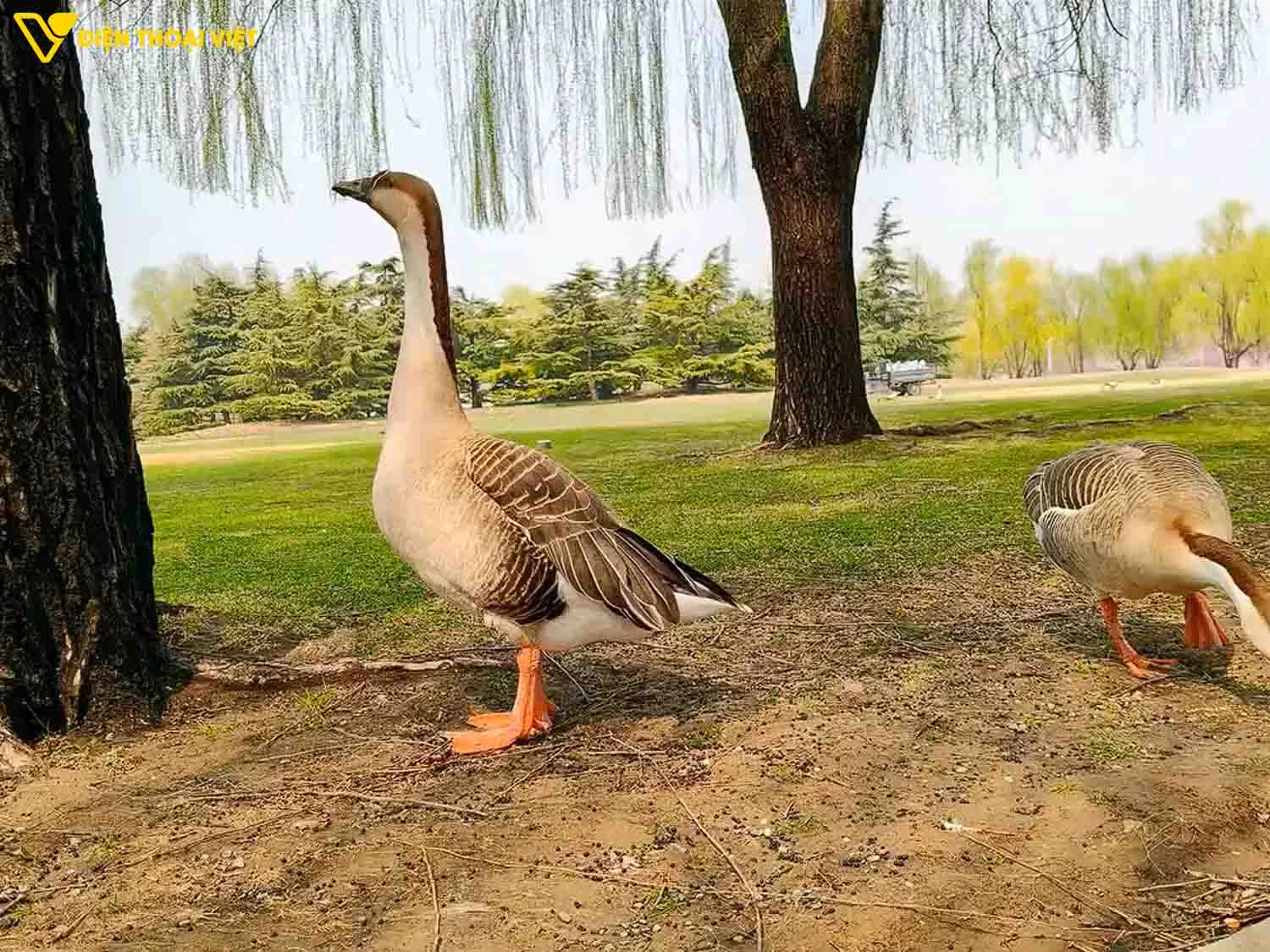 Ảnh chụp camera góc rộng tiêu cự 24mm