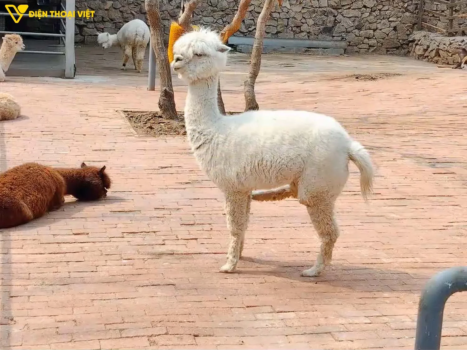 Ảnh chụp camera góc rộng tiêu cự 48mm