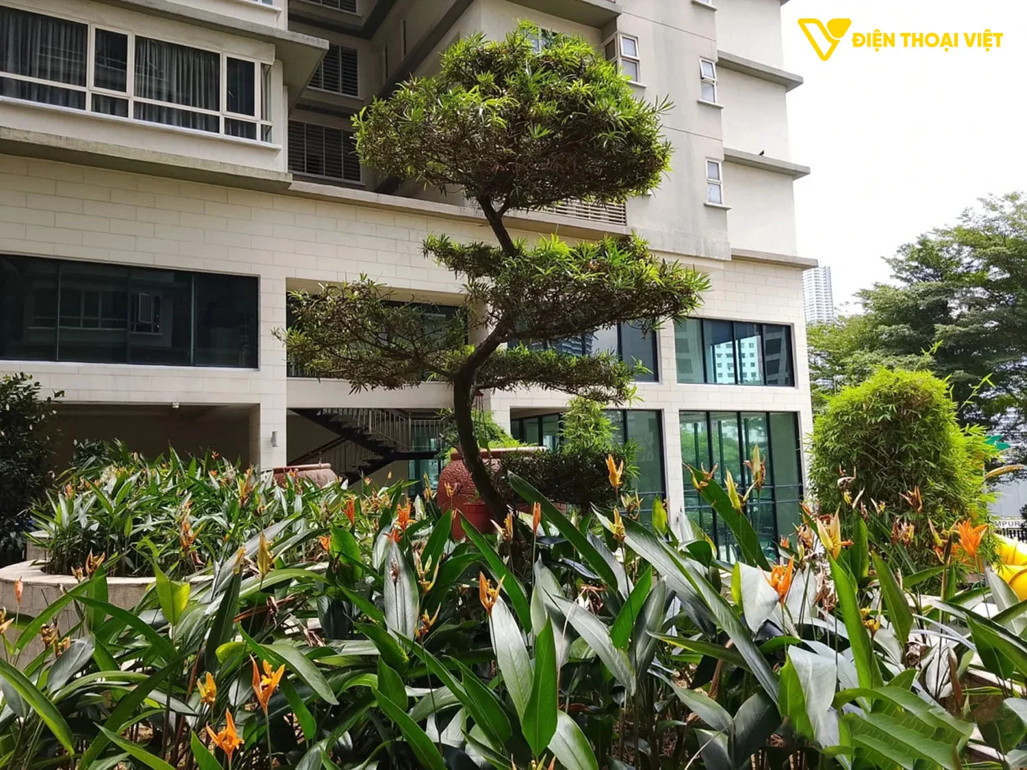 Ảnh chụp khuôn viên nhiều cây xanh