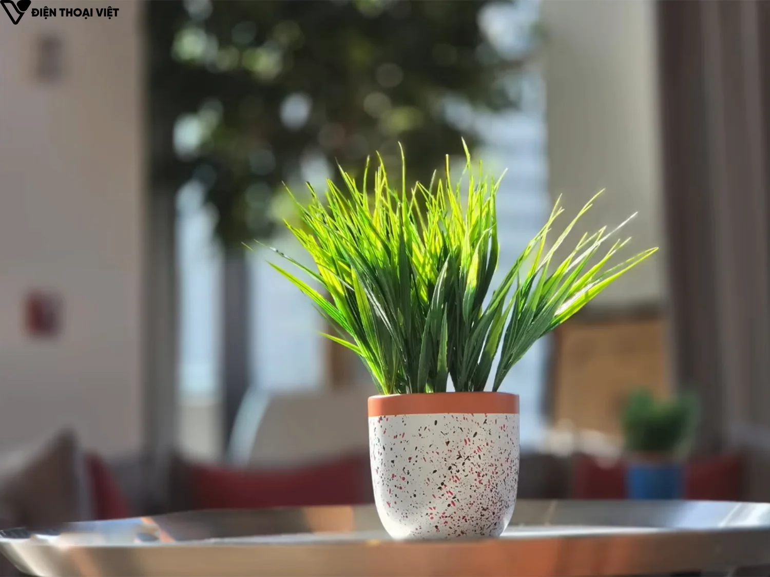 danh-gia-samsung-s26-plus-anh-chup-2