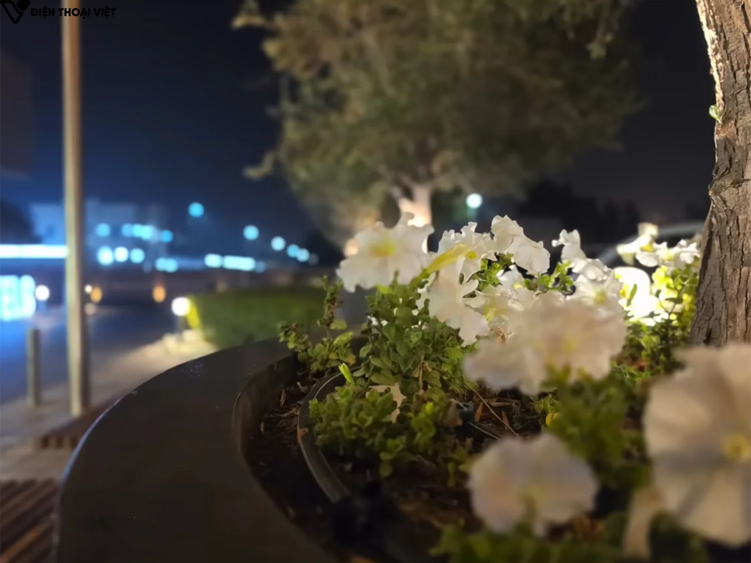 danh-gia-samsung-s26-plus-anh-chup-5