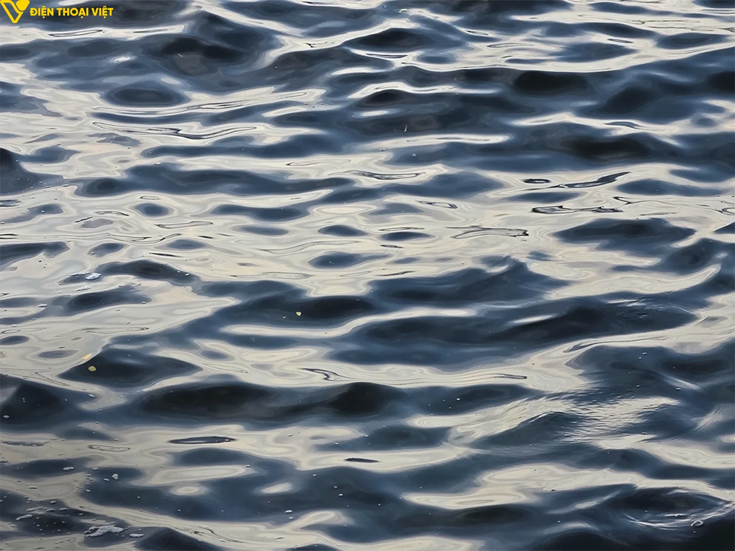 danh-gia-samsung-s26-ultra-anh-chup-2-1