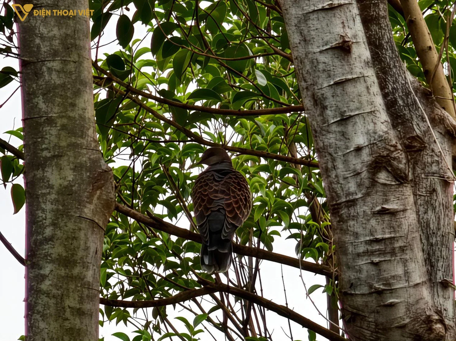 Ảnh chụp đủ sáng