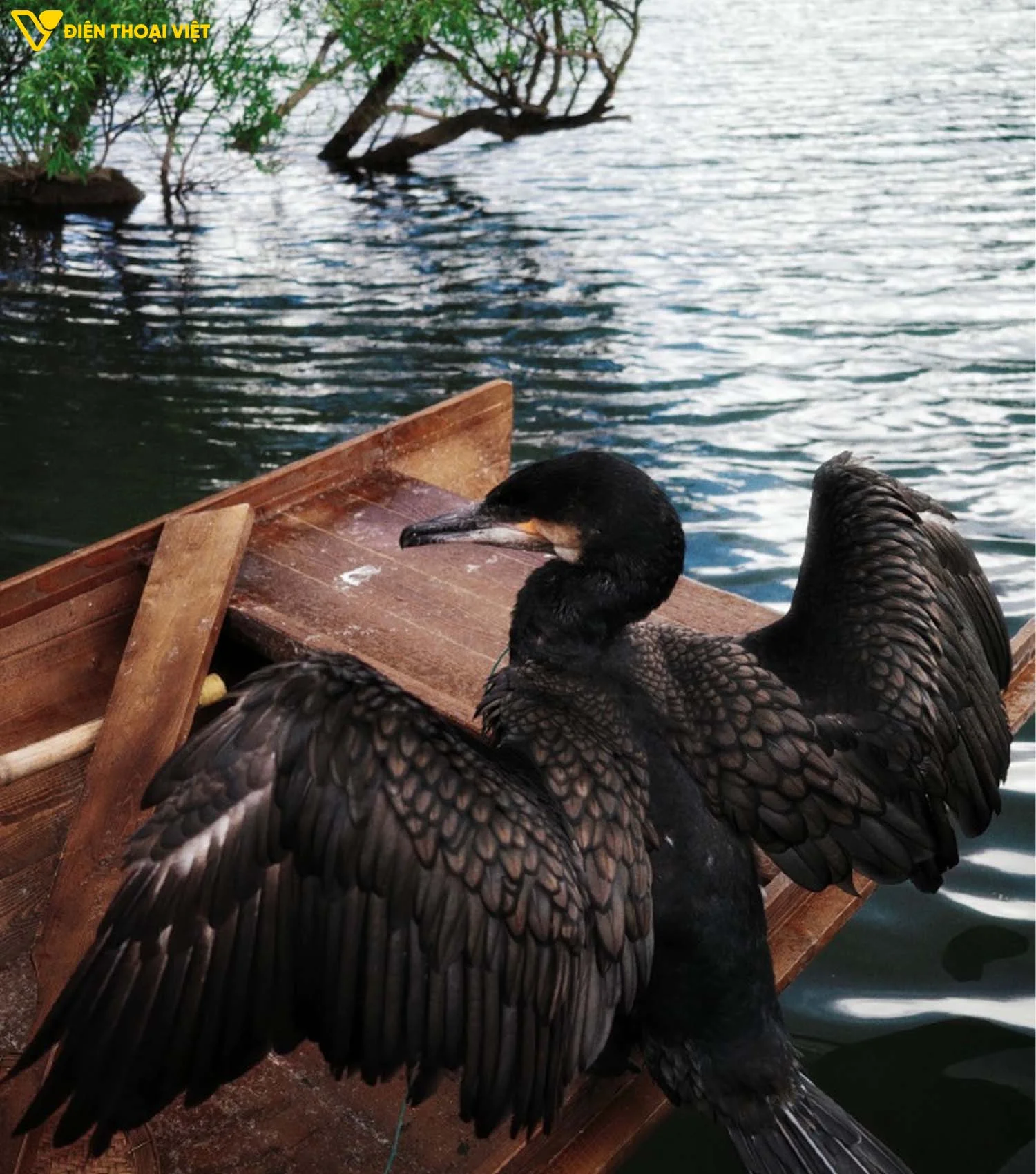 Ảnh chụp góc rộng trên Vivo X300 Ultra