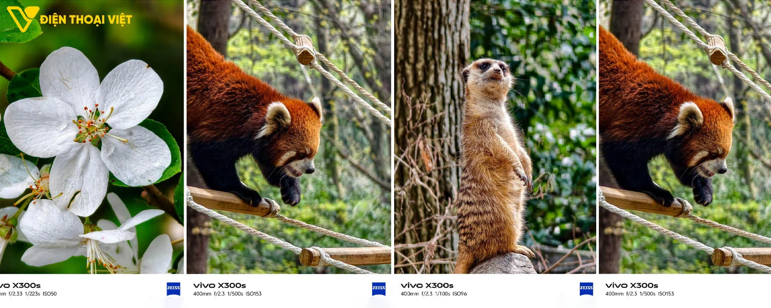 Ảnh chụp tele tiềm vọng tiêu cự 400mm