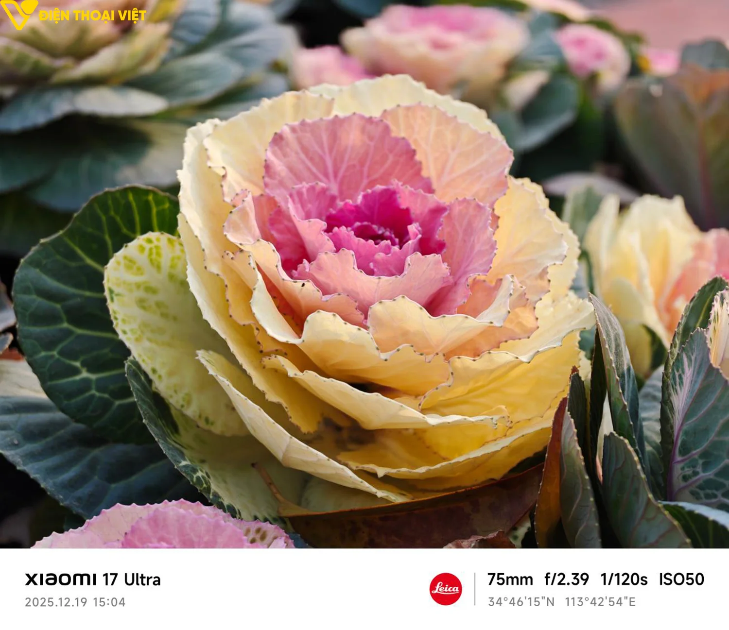 danh-gia-xiaomi-17-ultra-anh-chup-can