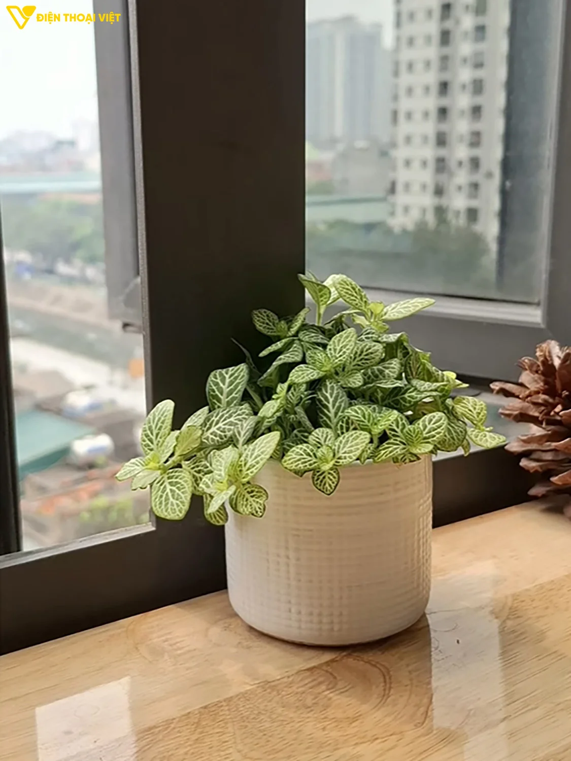 dien-thoai-chup-anh-dep-duoi-10-trieu-A37-2X