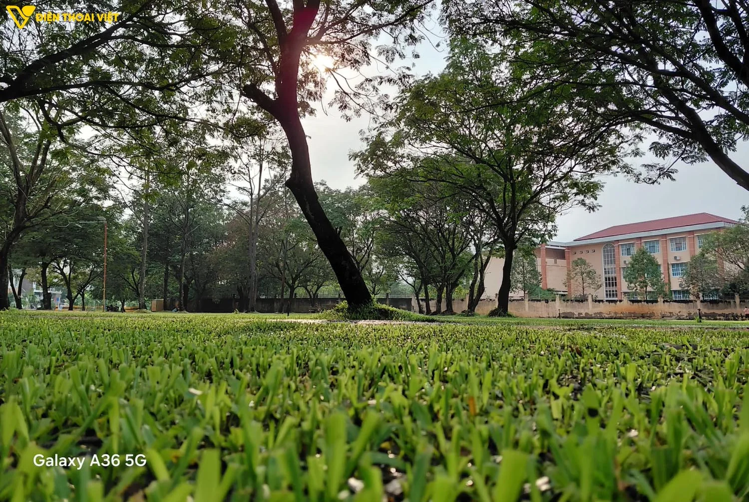 Samsung Galaxy A36 thể hiện khả năng bắt nét tuyệt vời
