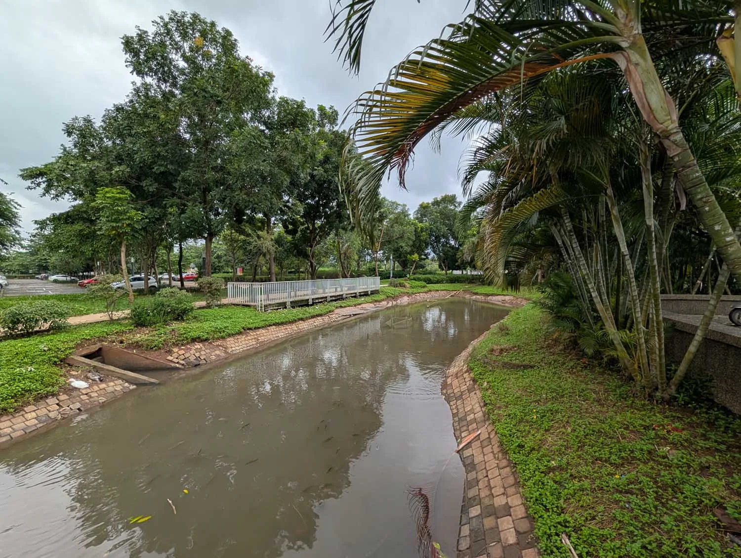 Ảnh phong cảnh đủ sáng không có nắng