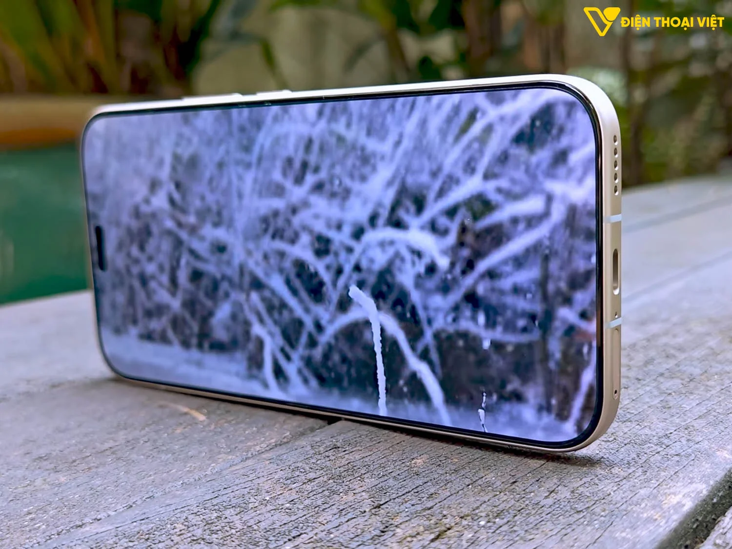 Mặt trước và cạnh dưới Honor 600 Lite