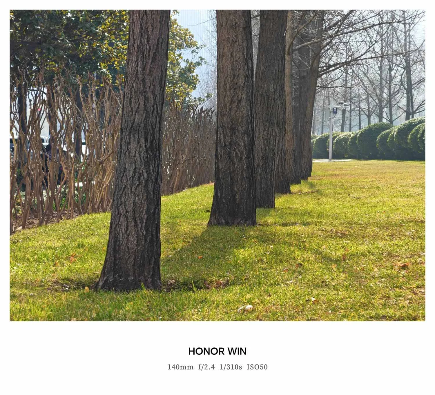 Ảnh tele zoon phong cảnh