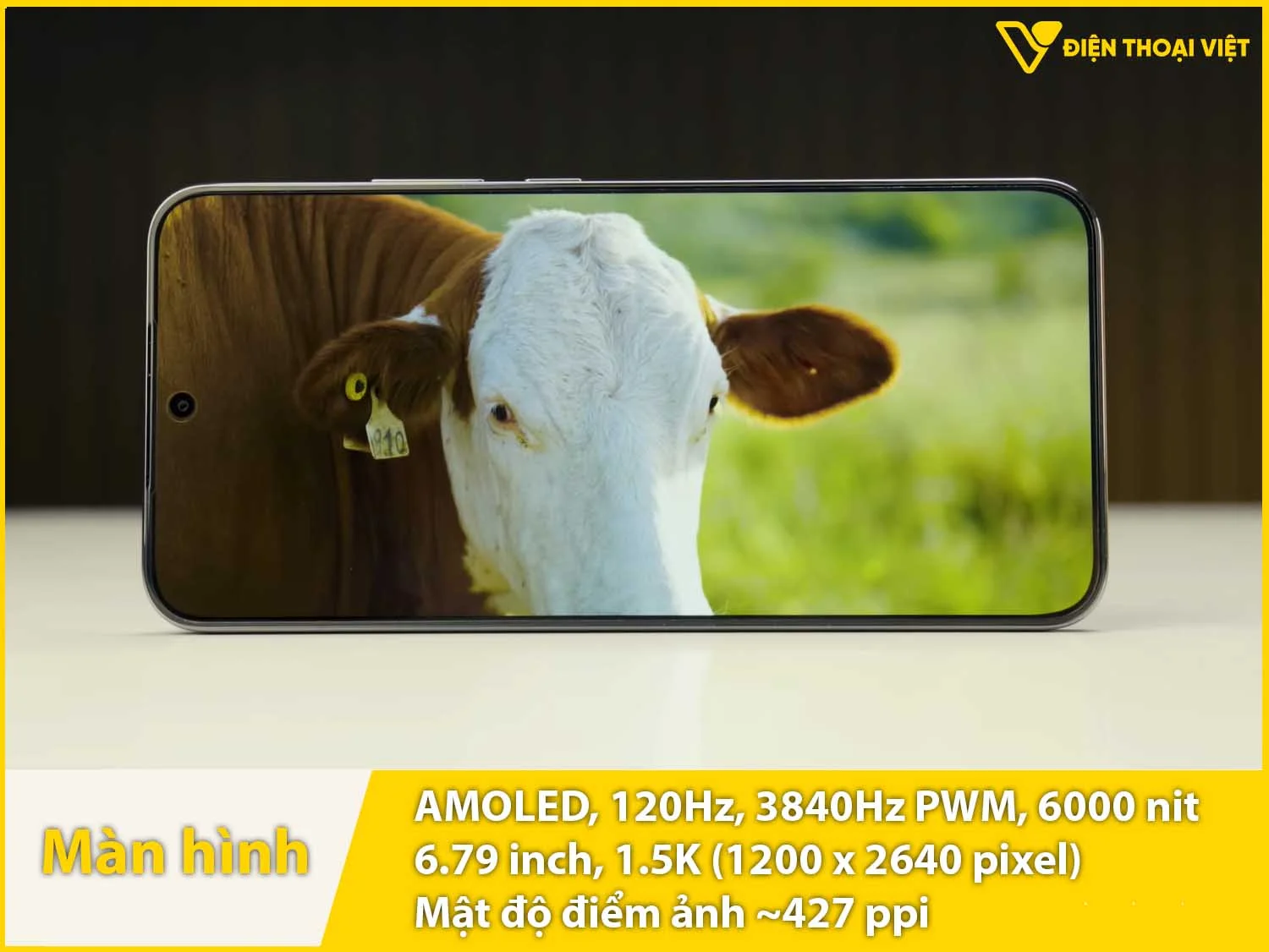 AMOLED 6,79 inch - 120Hz - 6000 nit