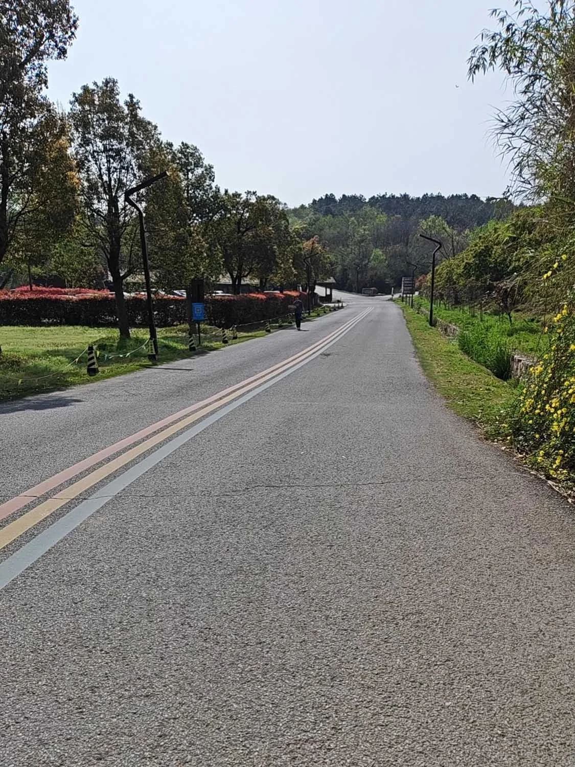 Ảnh chụp phong cảnh đủ sáng