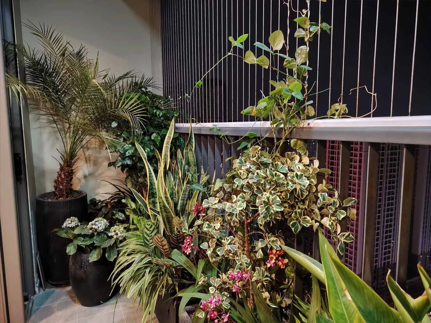 Ảnh chụp 1x thiếu sáng