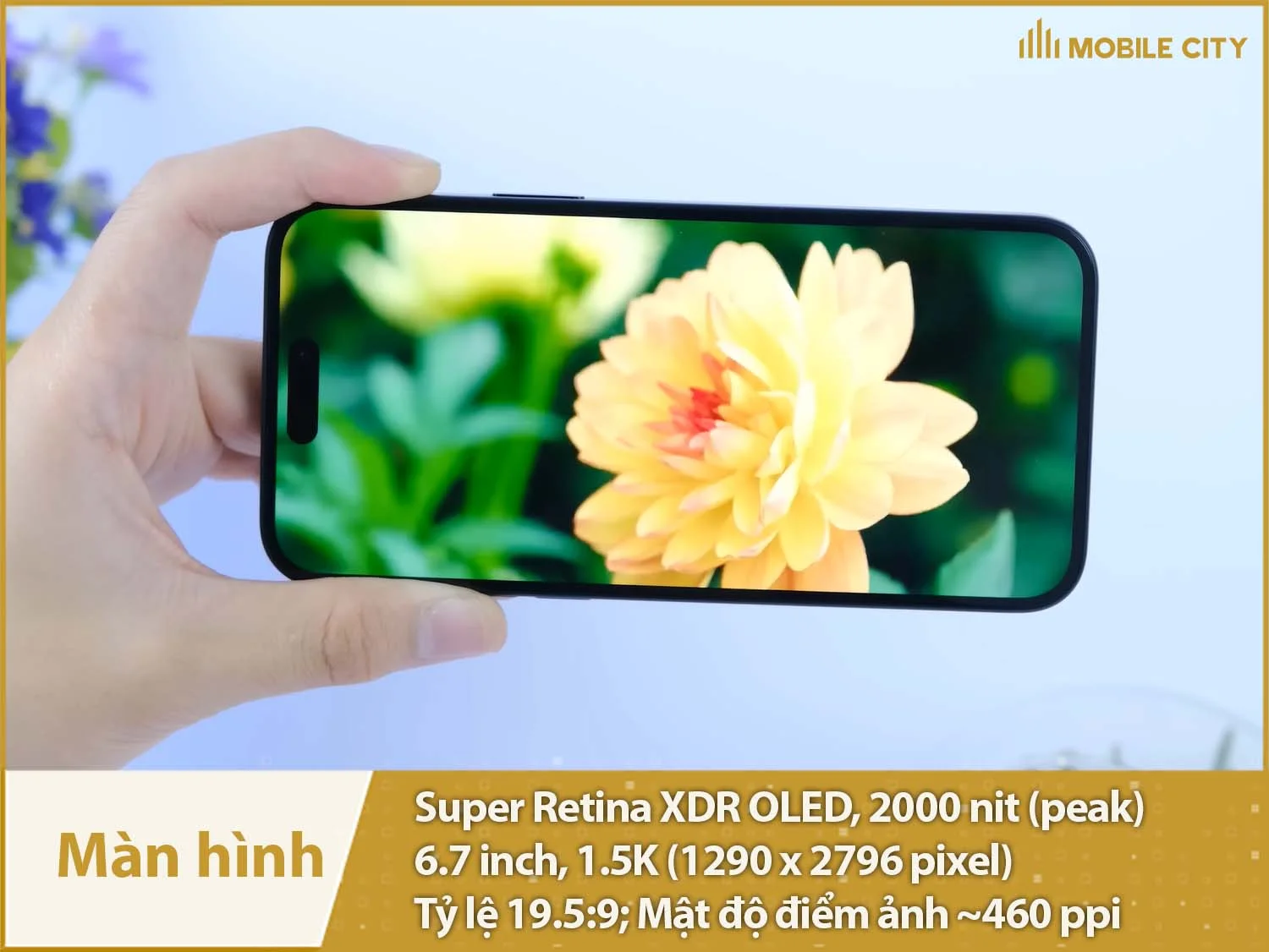 Màn hình lớn 6,7 inch OLED hiển thị sống động