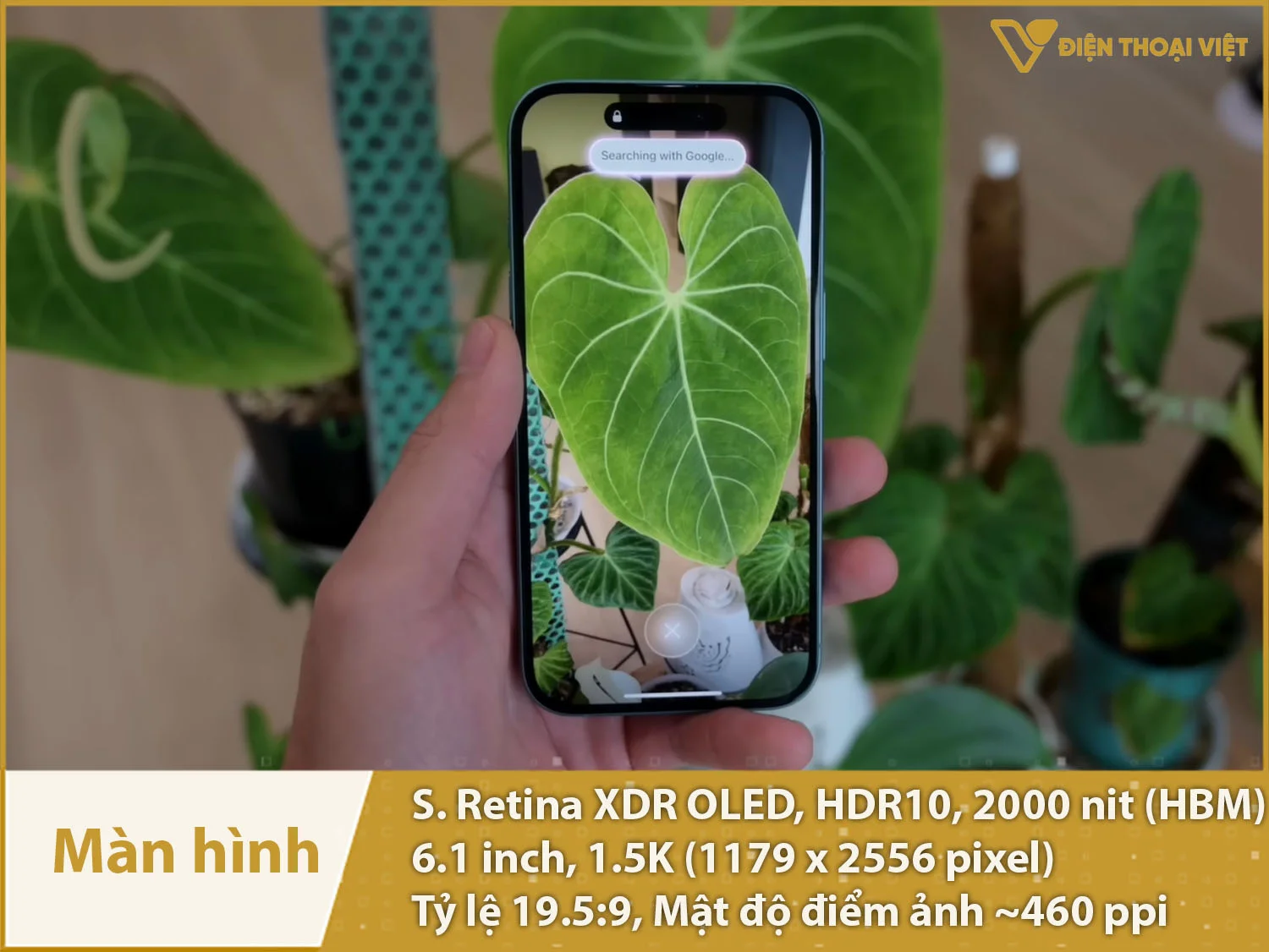 Màn hình OLED 6,1 inch, độ sánh cao lên tới 2000nit