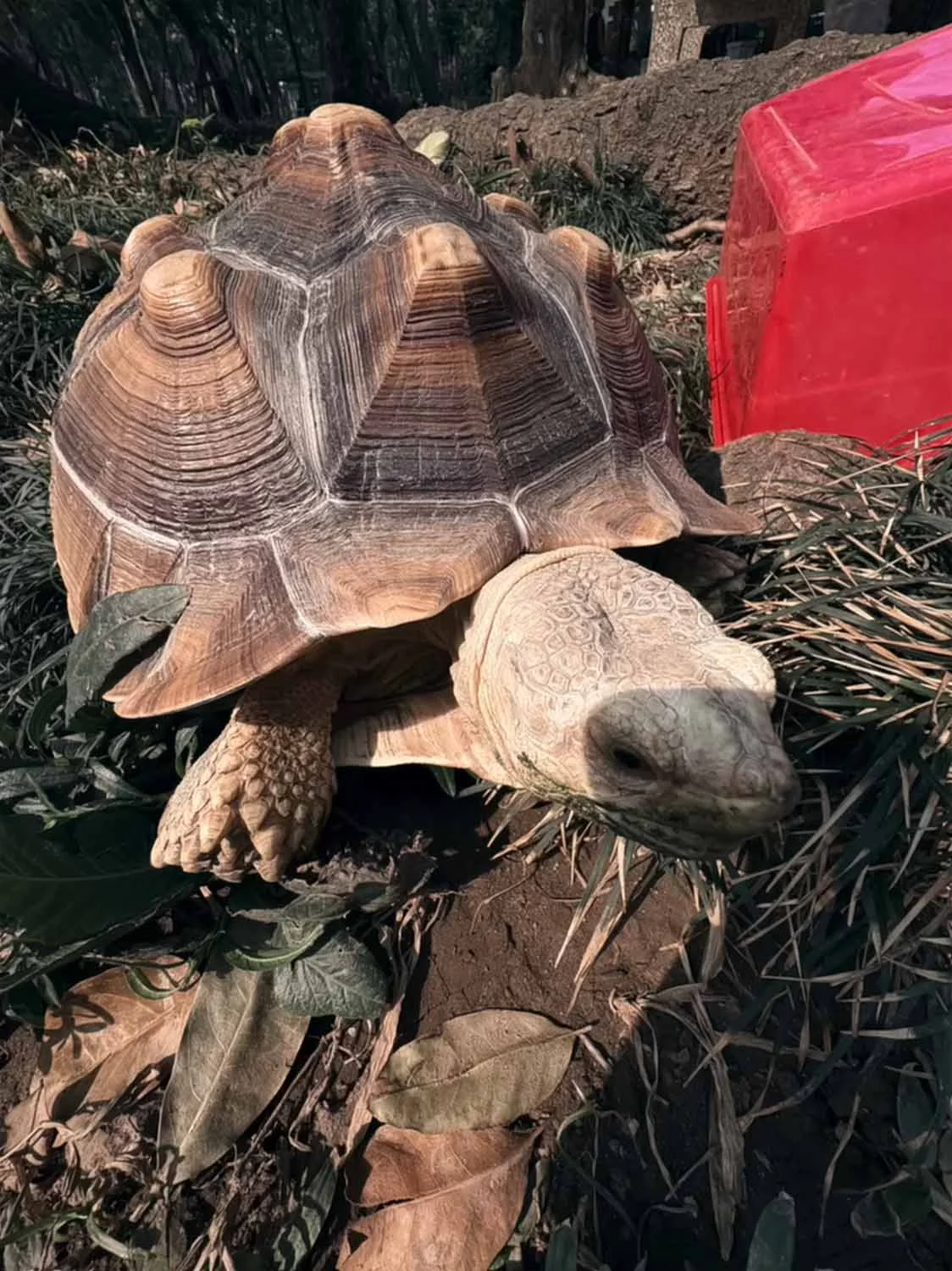 Ảnh chụp cận cảnh