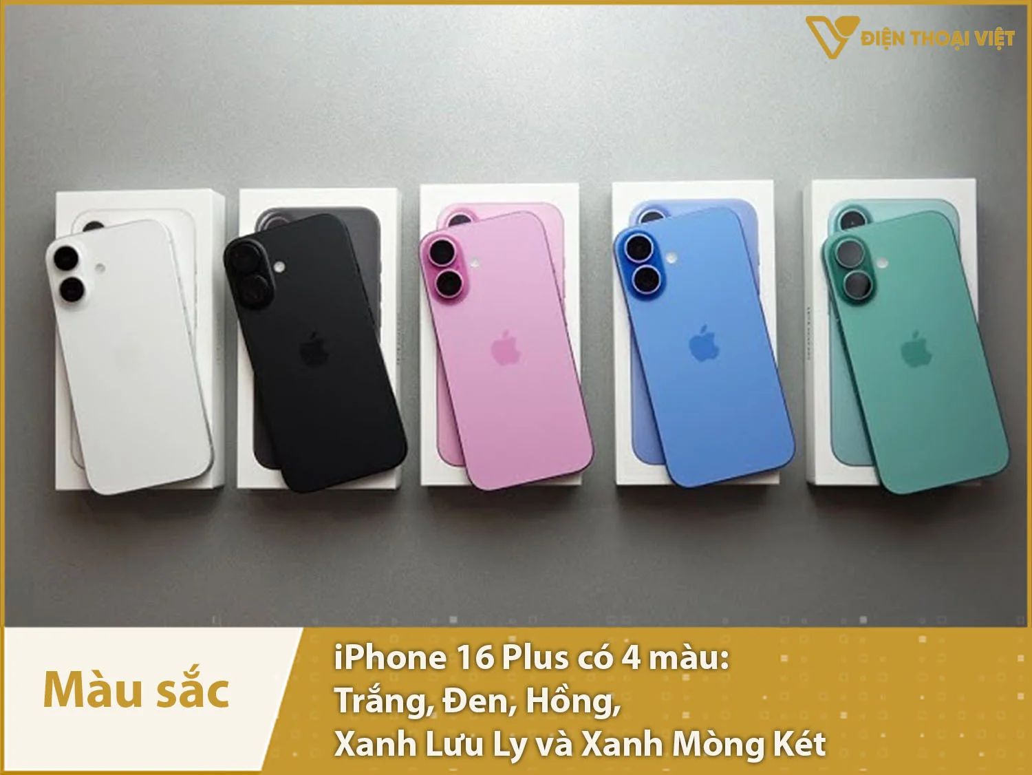 iPhone 16 Plus có 5 màu sắc
