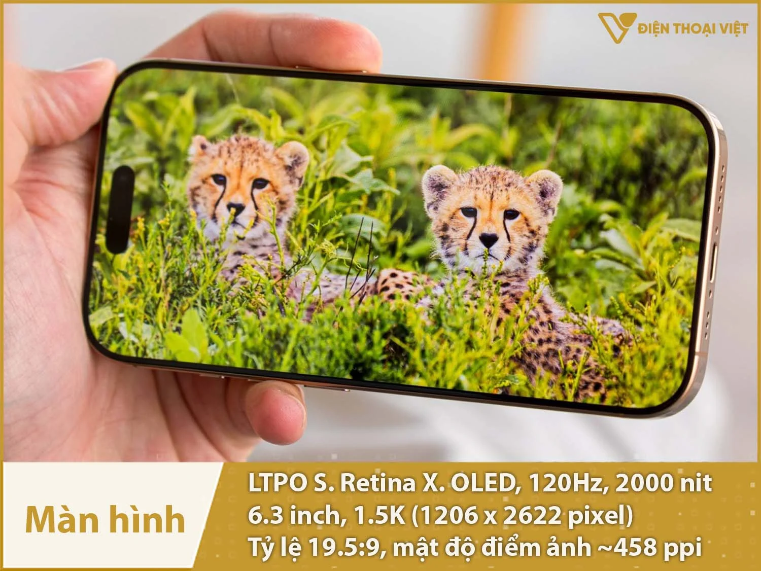 Màn hình 6,3 inch 1.5K, tấm nền OLED 120Hz, độ sáng cực cao 2000nit