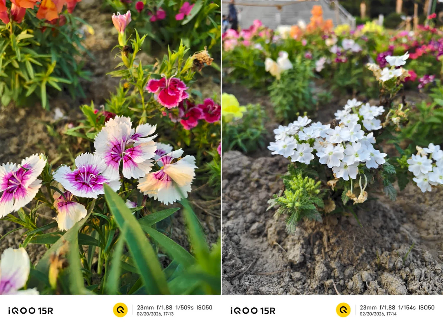 Ảnh chụp xóa phông