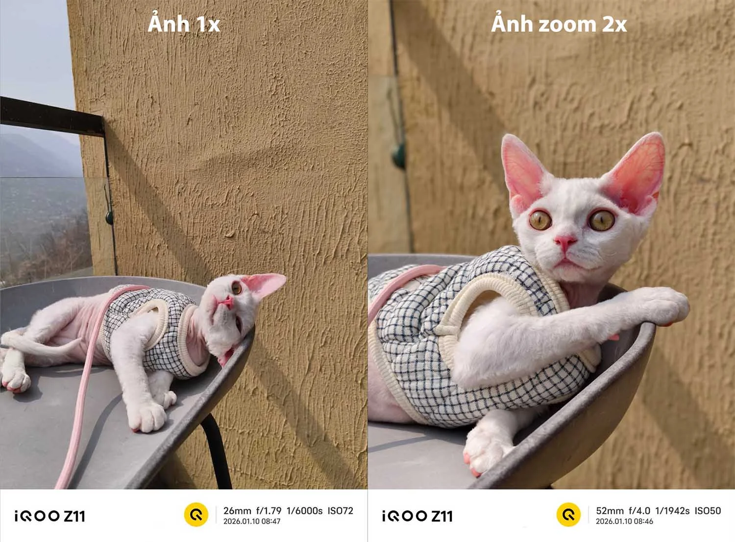 Ảnh chụp vật thể