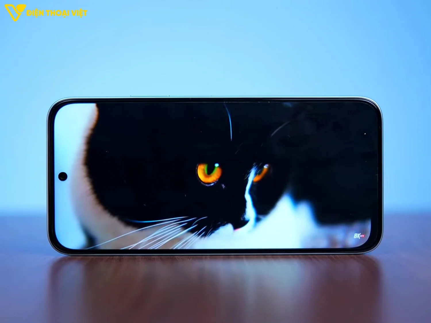 Màn hình LCD trên iQOO Z11x