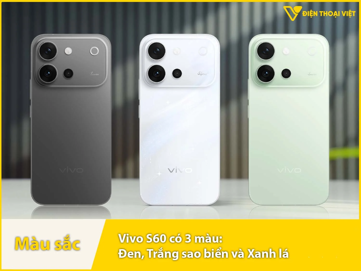 Vivo S60 có 3 màu: Đen, Trắng và Xanh lá