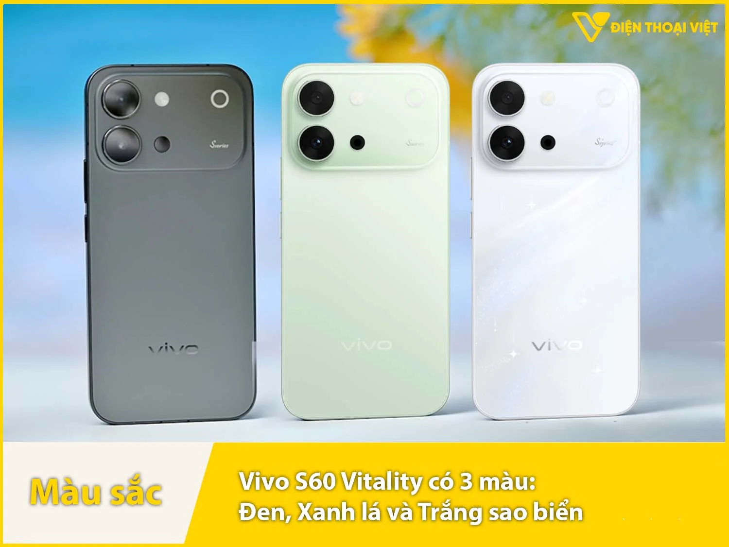 Vivo S60 Vitality có 3 tùy chọn màu sắc
