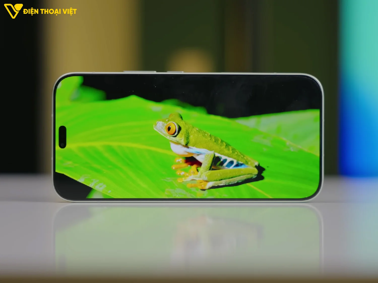 Màn hình AMOLED 6.6 inch 1.5K 120Hz Honor 600 Lite