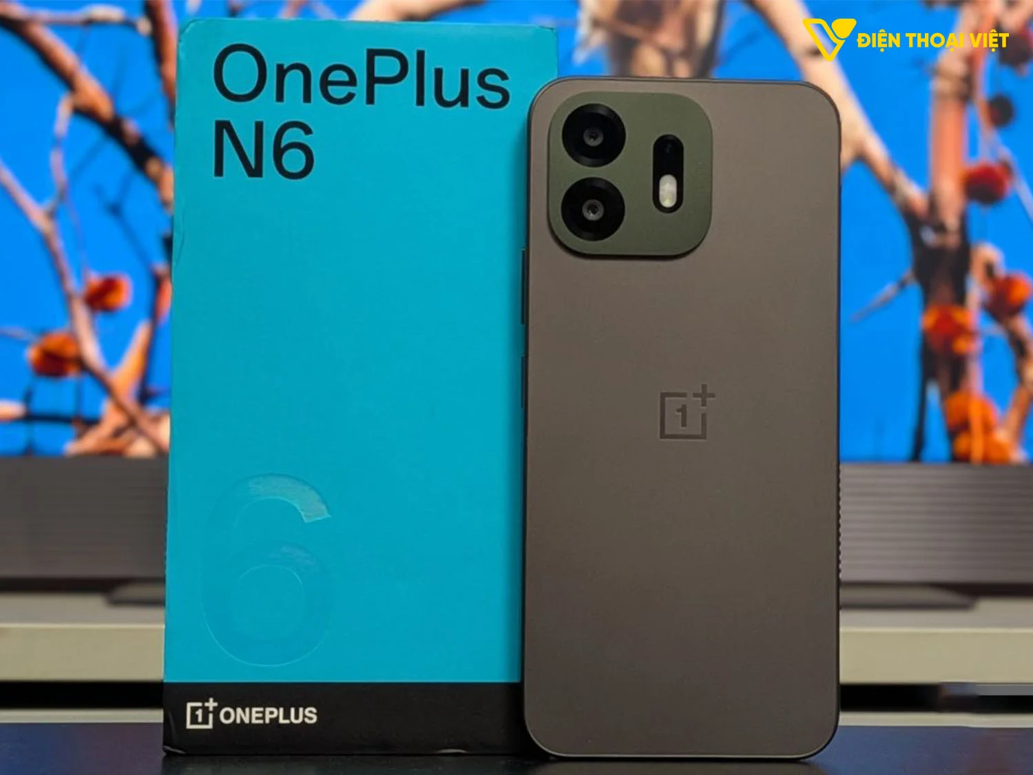 Hộp đựng OnePlus N6