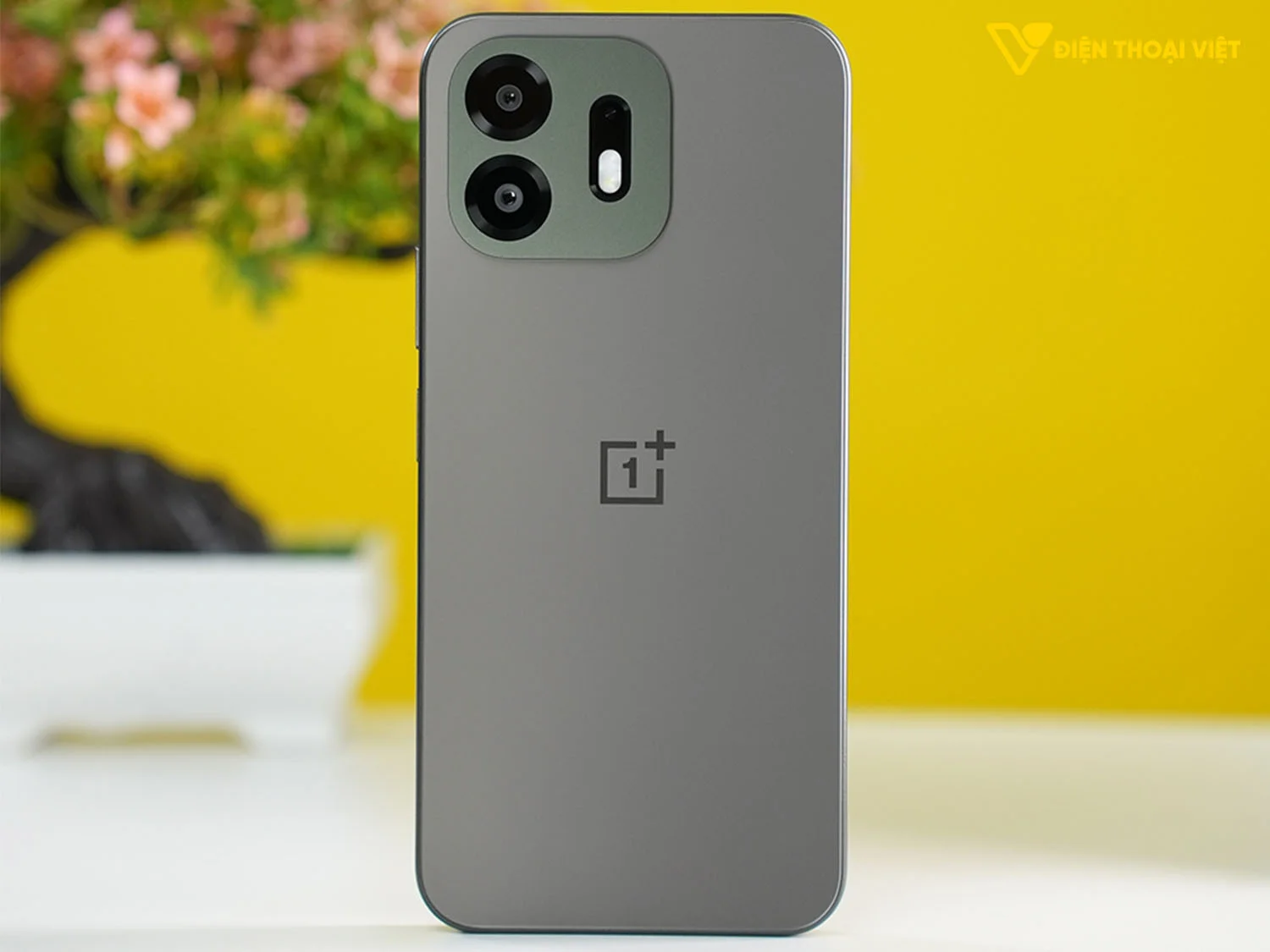 Mặt lưng OnePlus N6