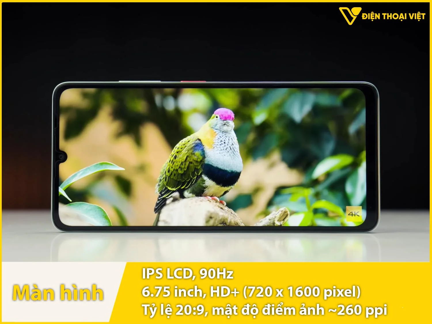 IPS LCD 6,75 inch - 90Hz