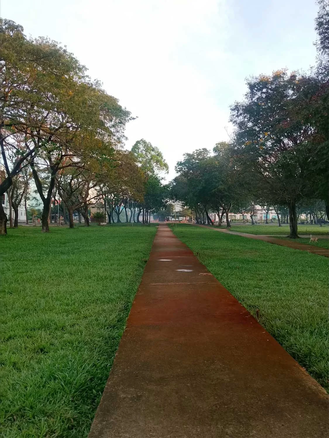 Ảnh chụp phong cảnh