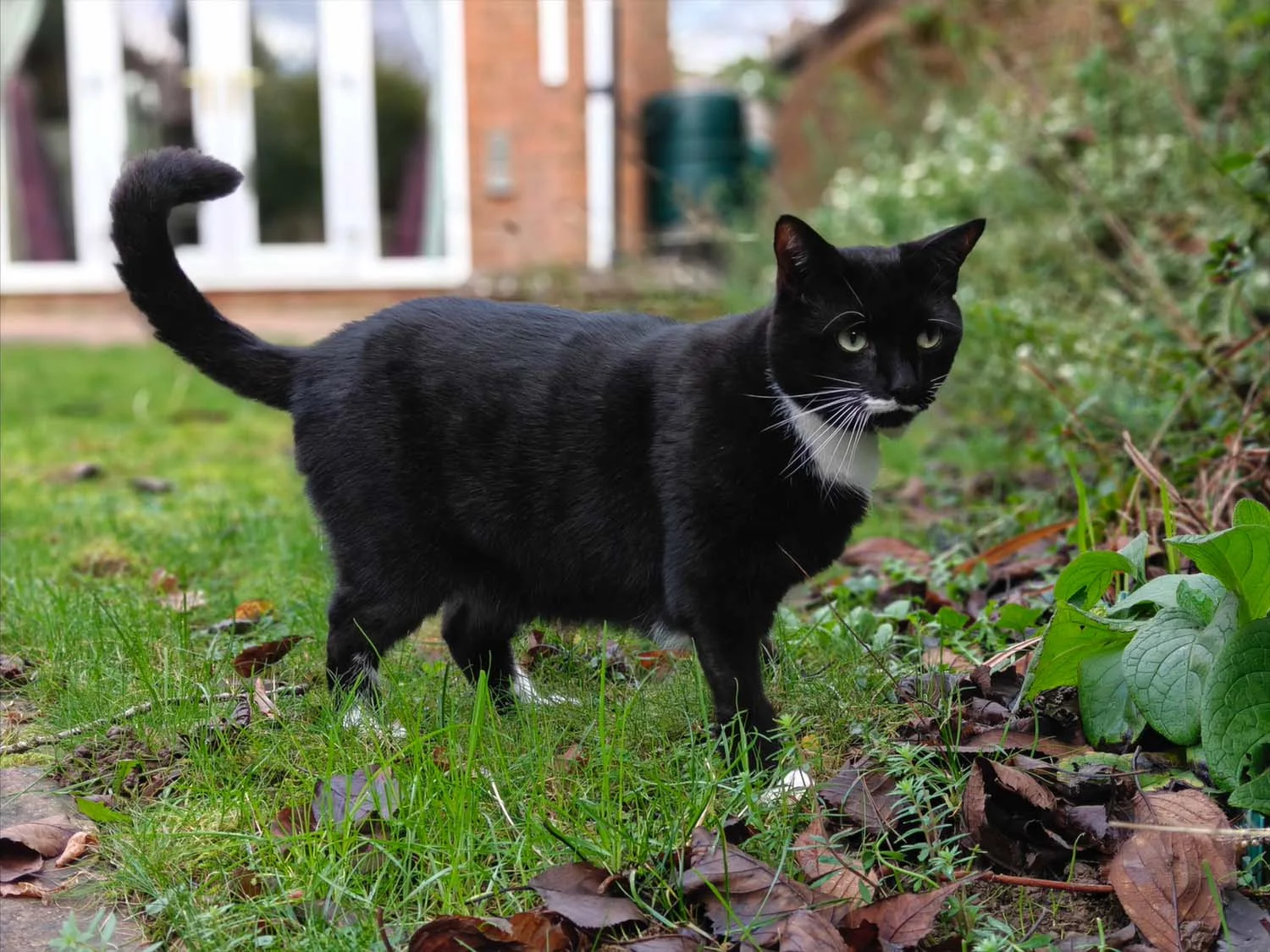 Ảnh chụp chụp gần đủ sáng