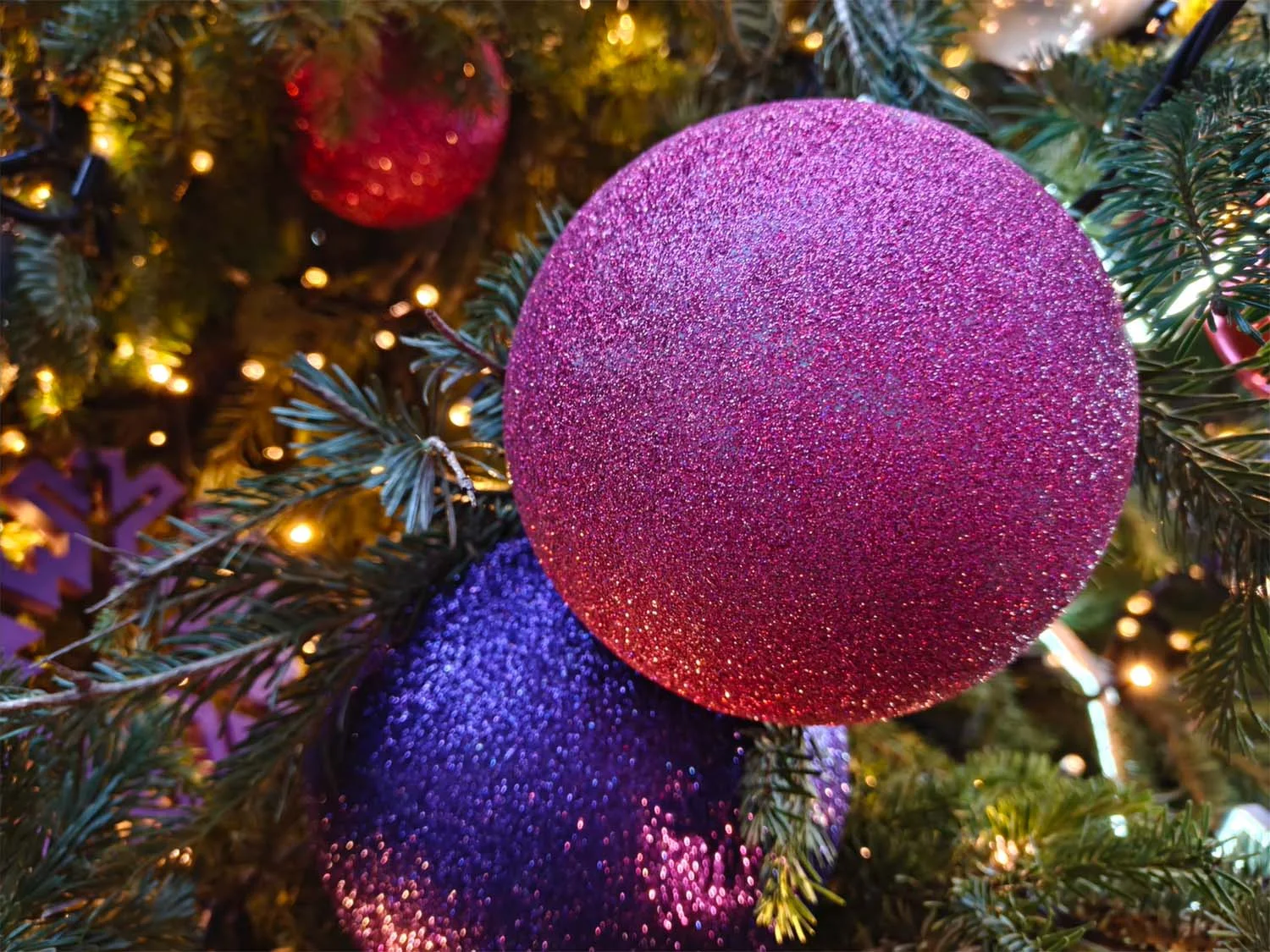 Ảnh chụp cạnh cảnh đêm