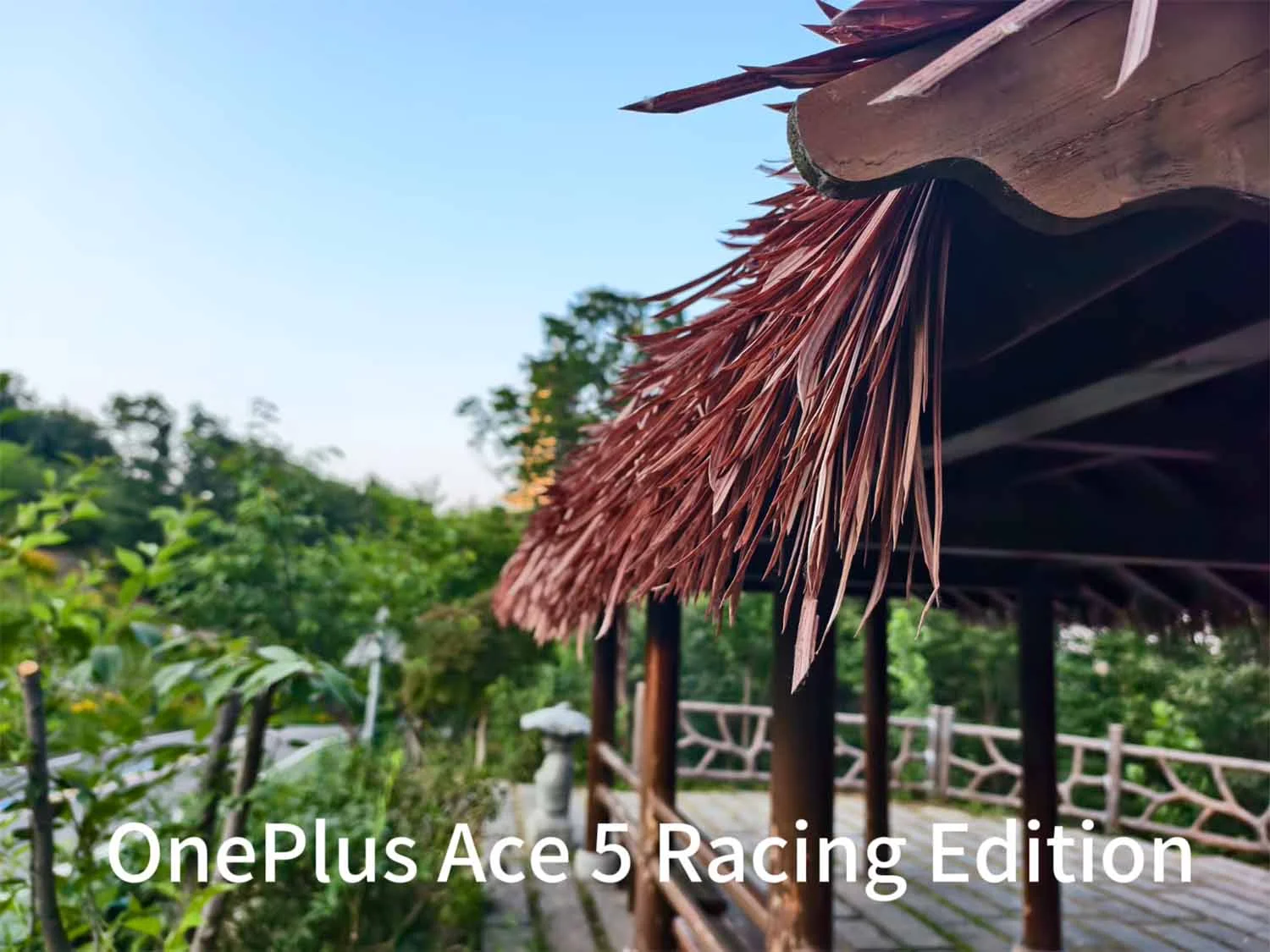 Ảnh chụp cận cảnh chi tiêt