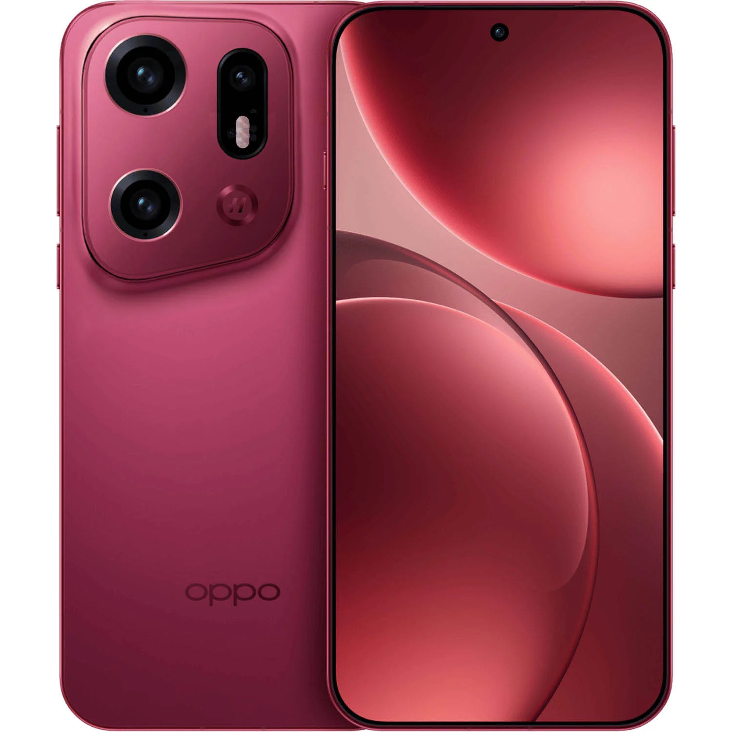 OPPO Find X10 (ảnh minh họa)