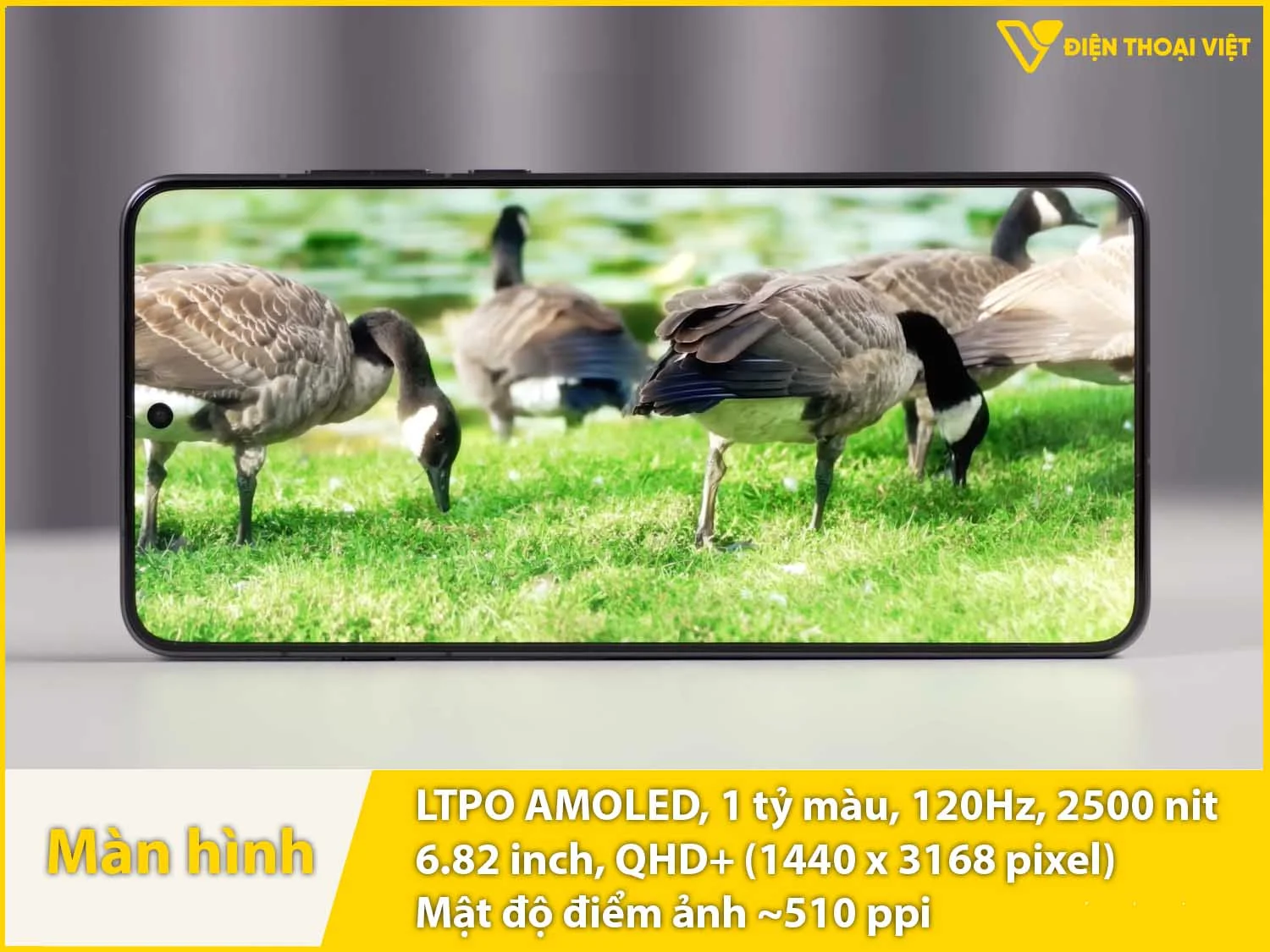 Màn hình 6,82 inch LTPO AMOLED 2K hiển thị xuất sắc