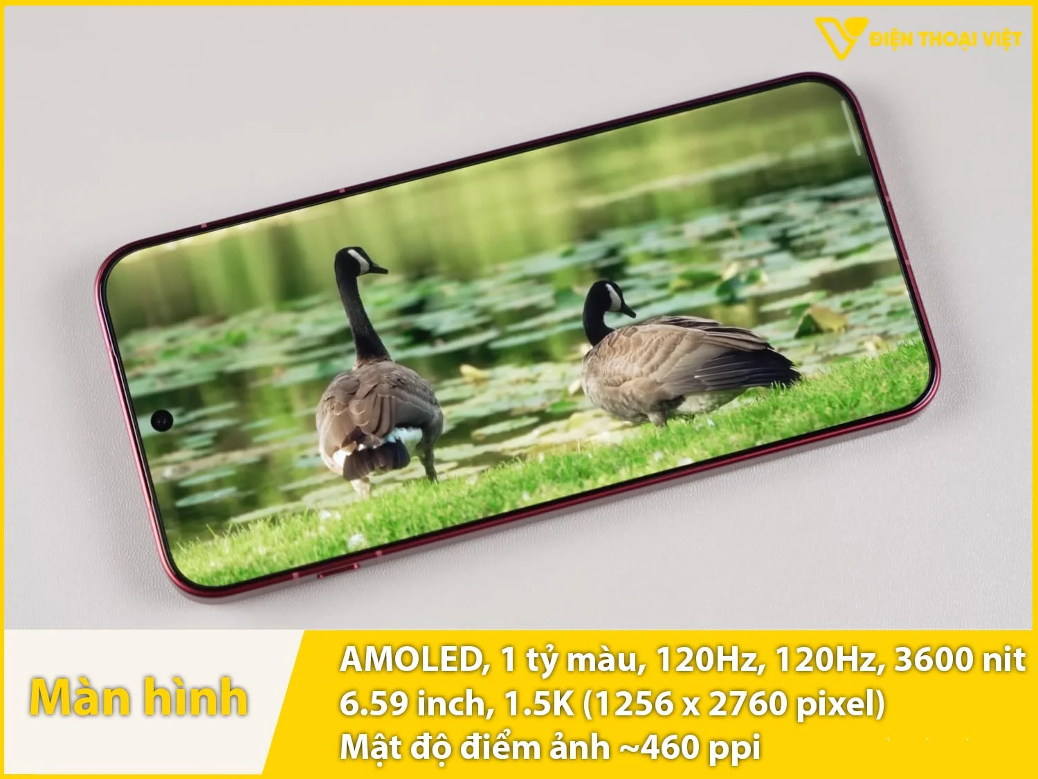 Màn hình 6,59 inch 1.5K AMOLED 1 tỷ màu 120Hz