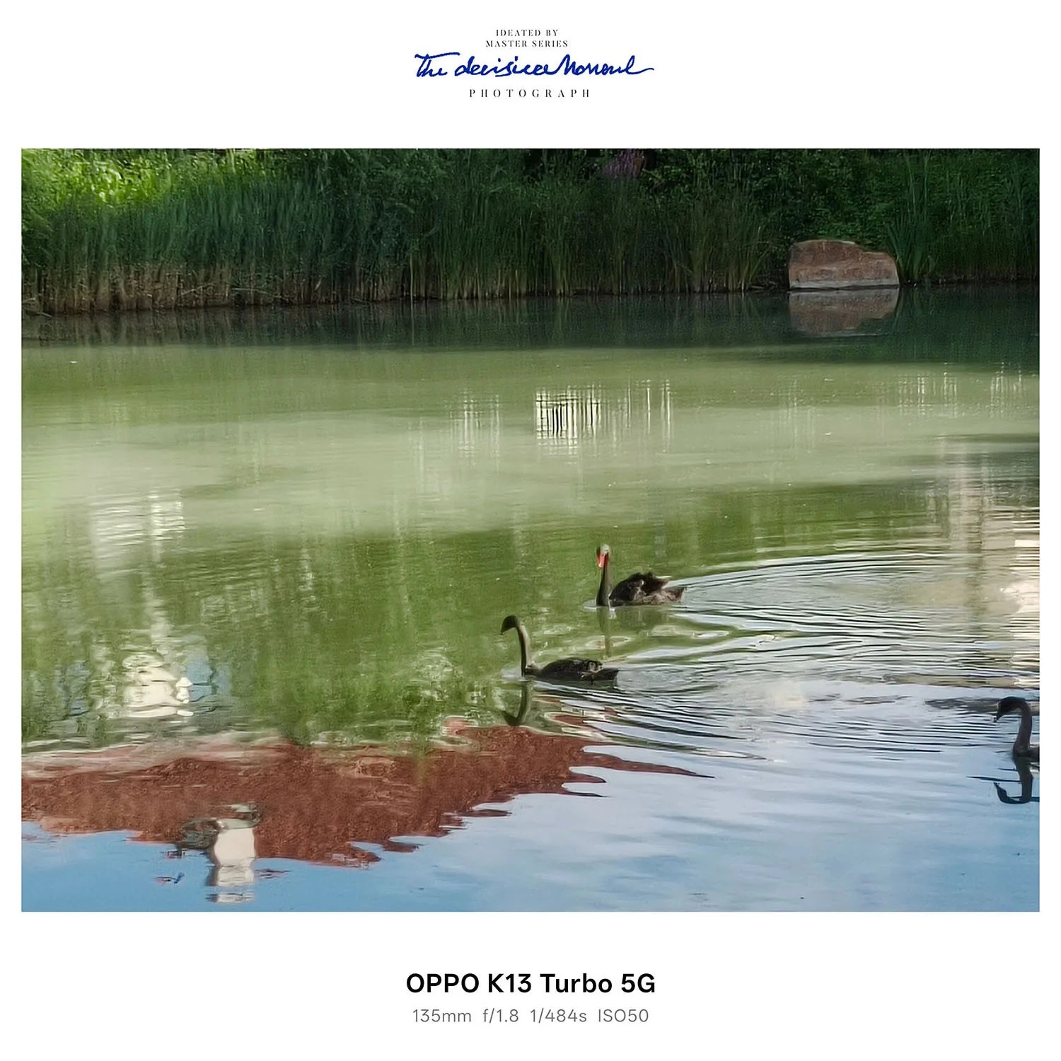 Ảnh phỏng cảnh zoom xa đủ sáng