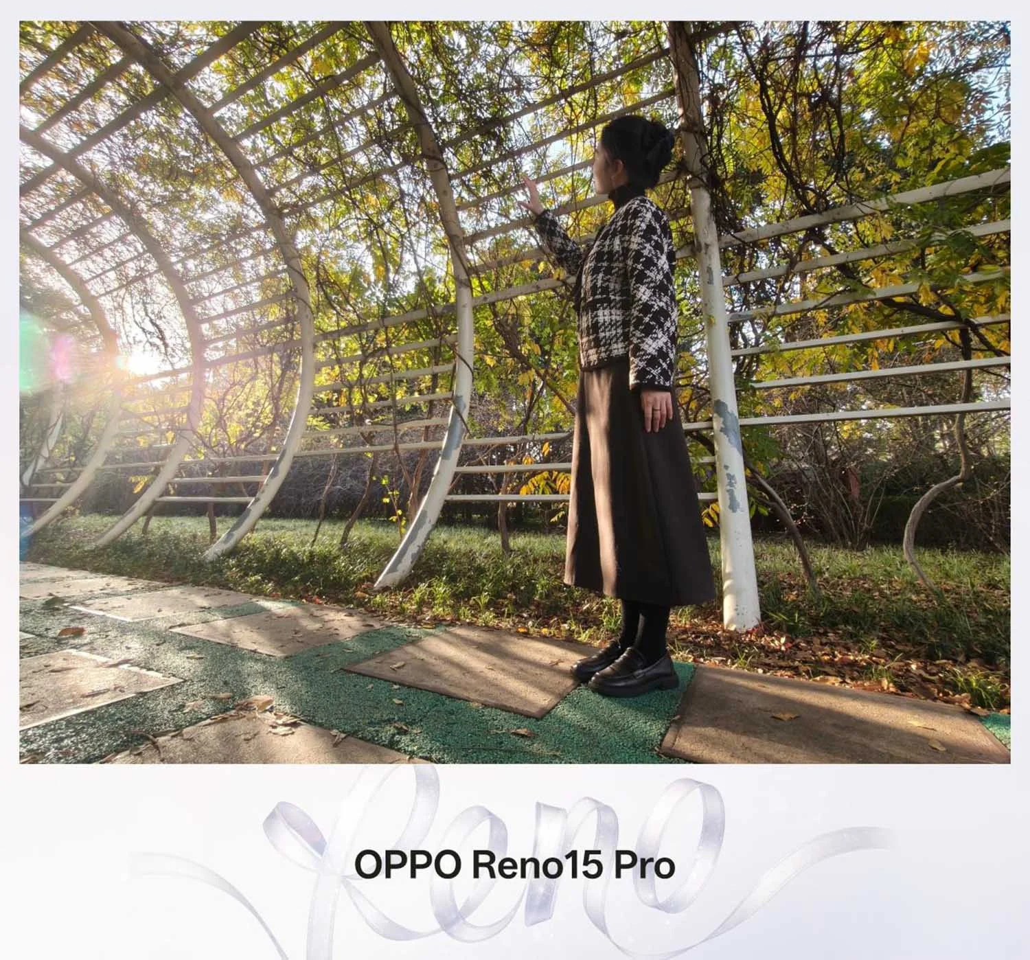 Ảnh chụp ngược sáng