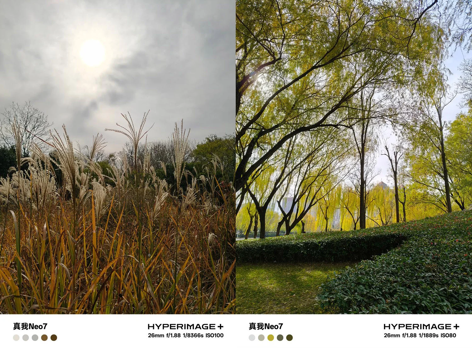 Ảnh phong cảnh thiếu sáng