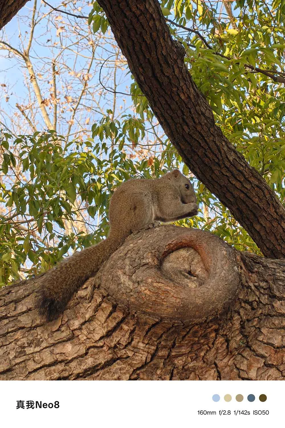 Ảnh tele đủ sáng