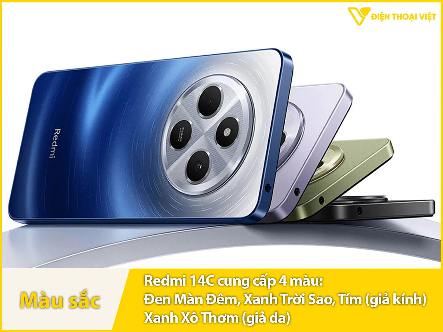 Thiết kế thời trang, mặt lưng sang trọng